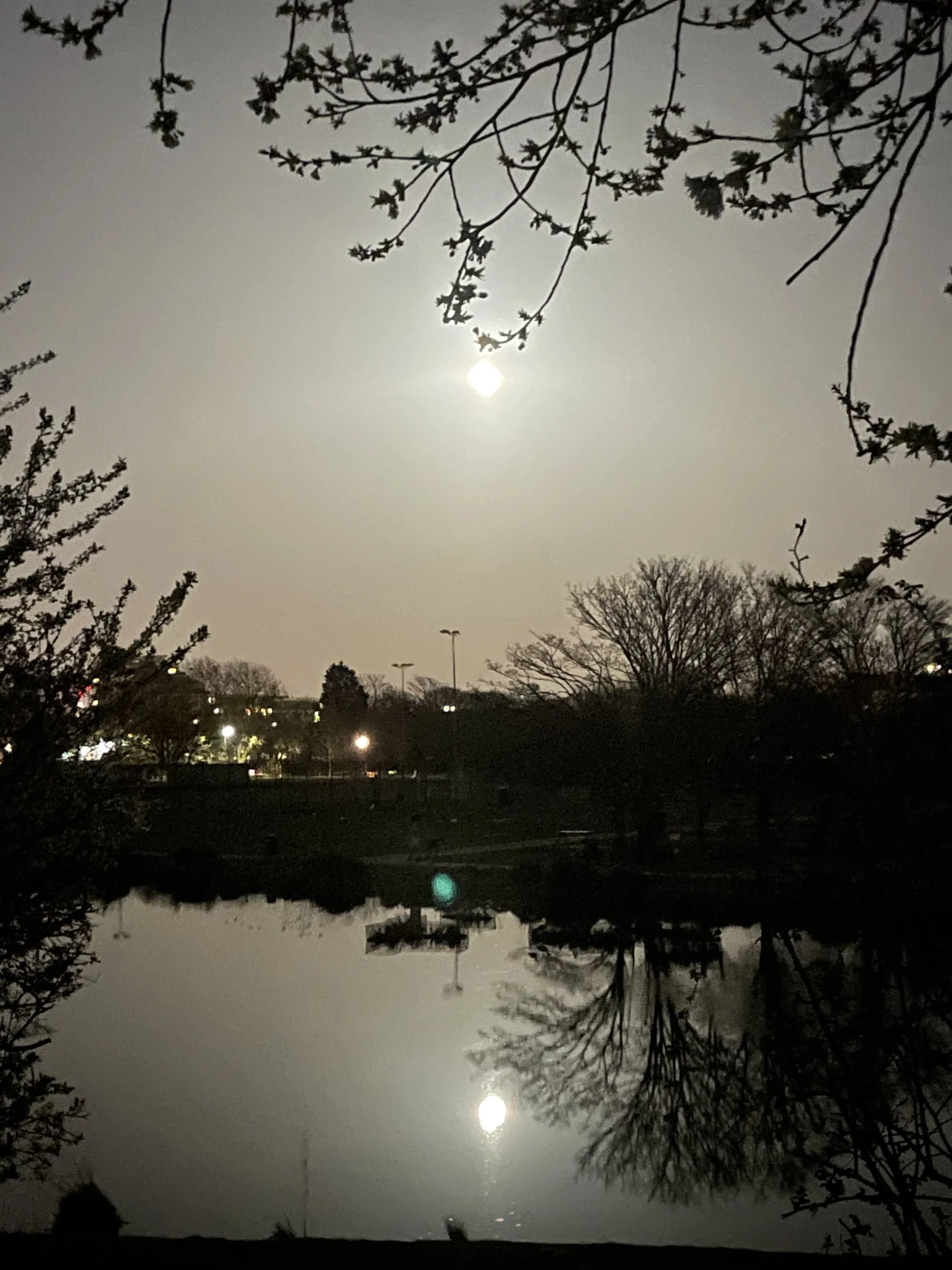 Blkboy187 OnlyFans header