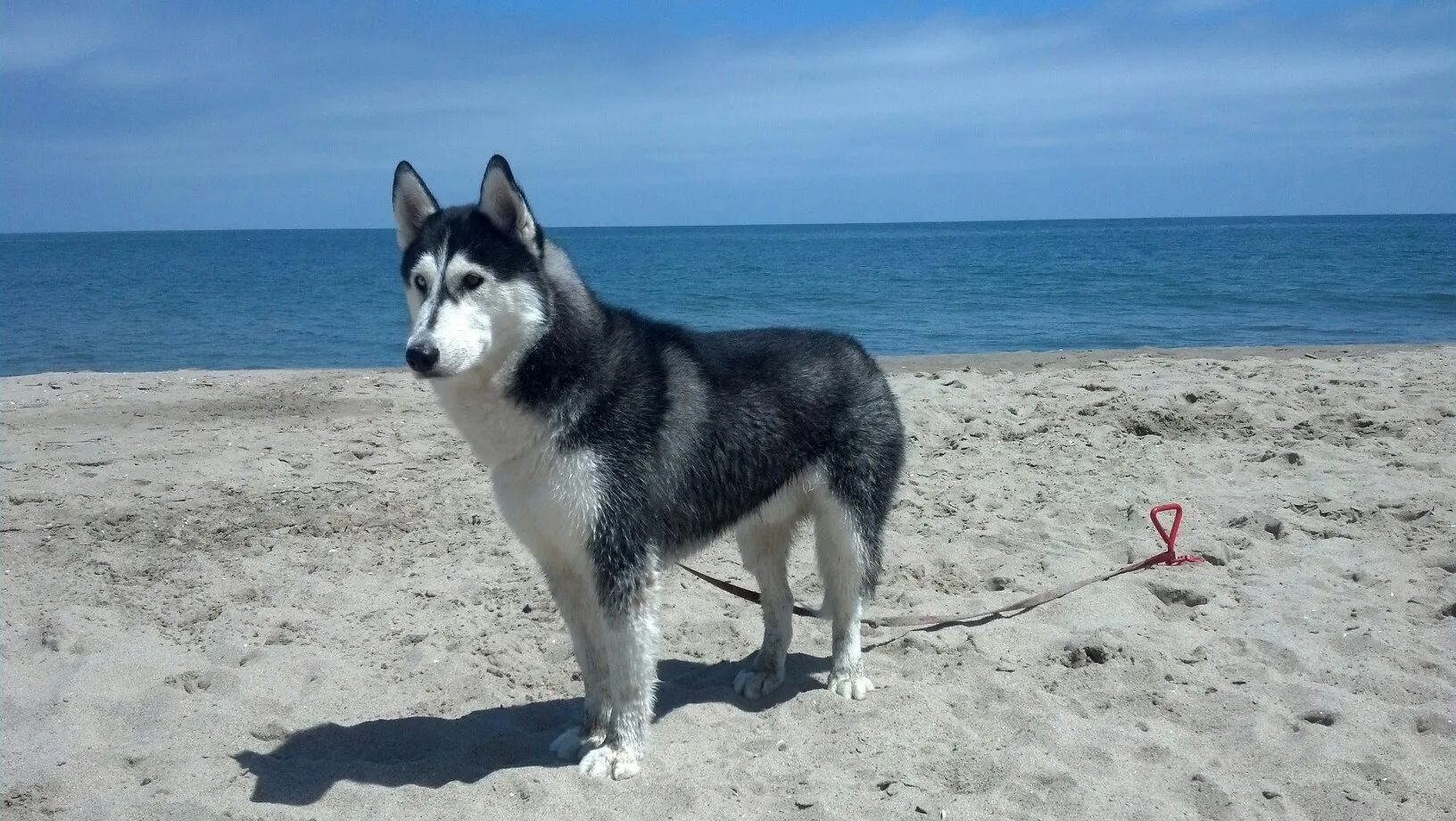 Blnbamb OnlyFans header