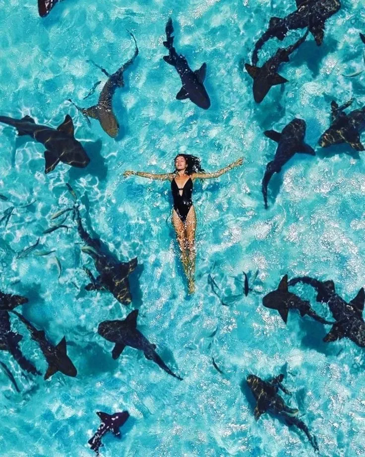 Рената OnlyFans header