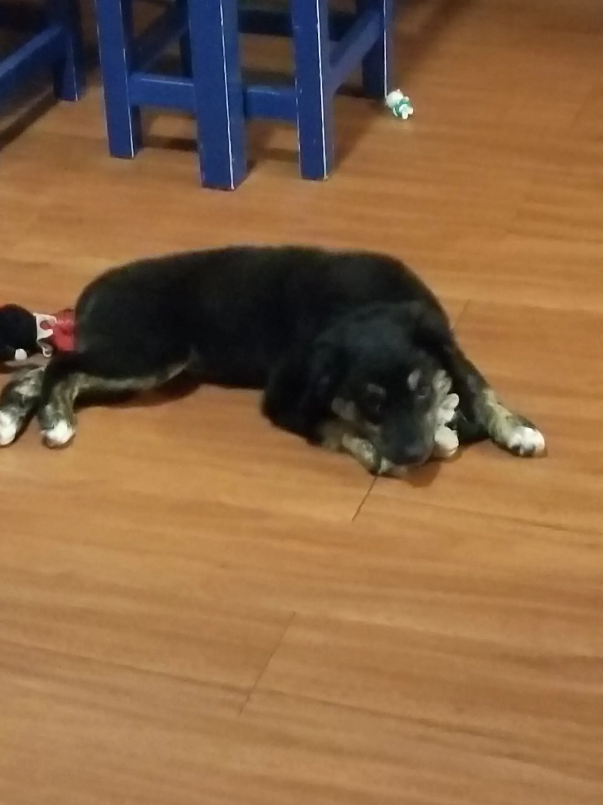 Blond beard OnlyFans header