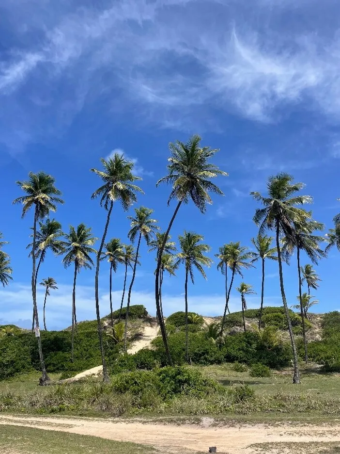 Baby OnlyFans header