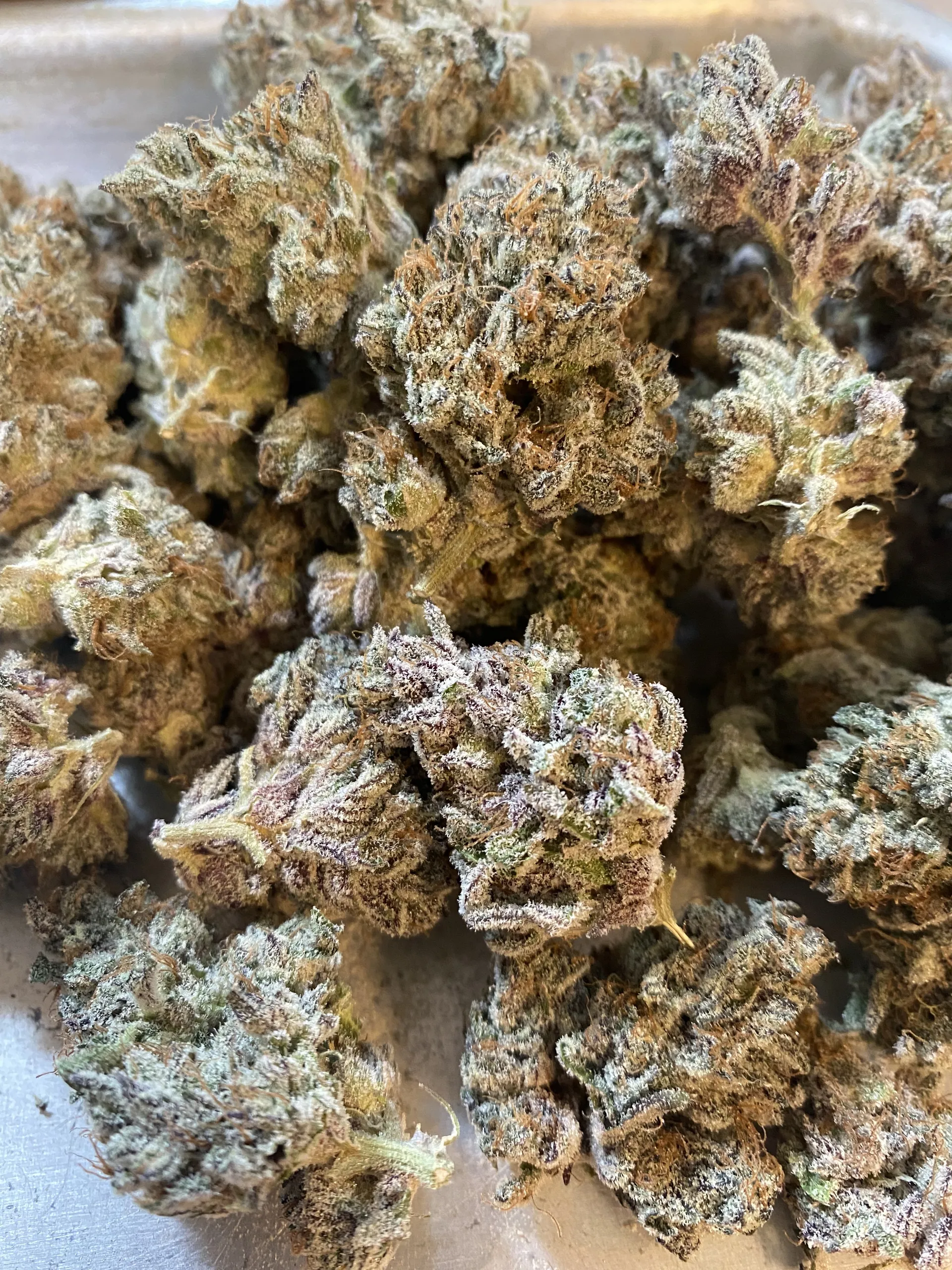 weedwhore OnlyFans header