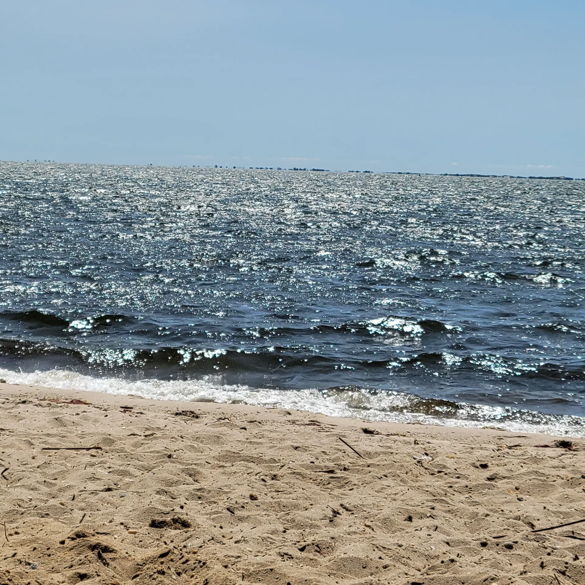 Blonde BBW OnlyFans header