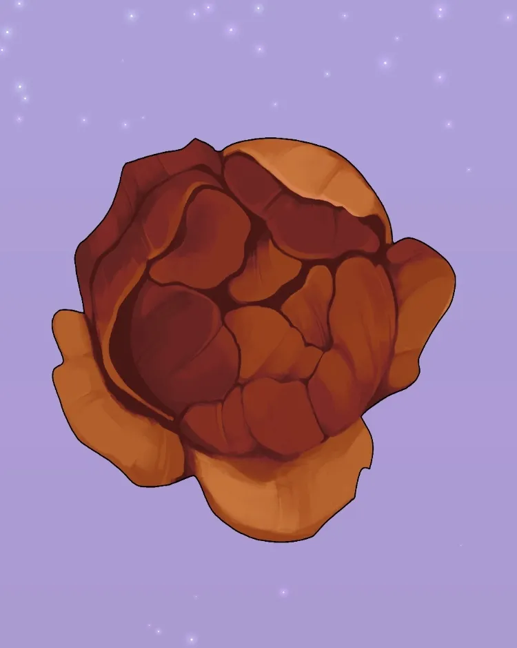 Hannah OnlyFans header