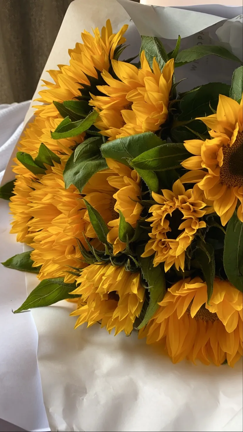 BlondeeJ OnlyFans header