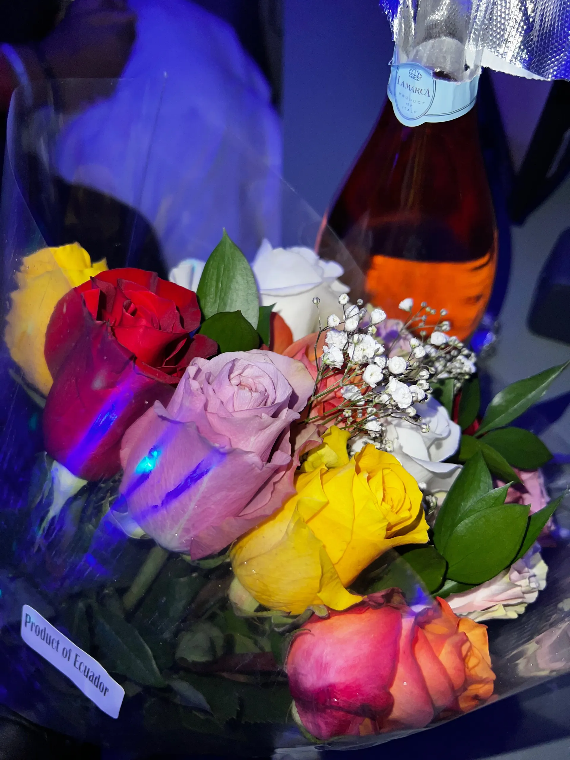 Elle ♡︎ OnlyFans header