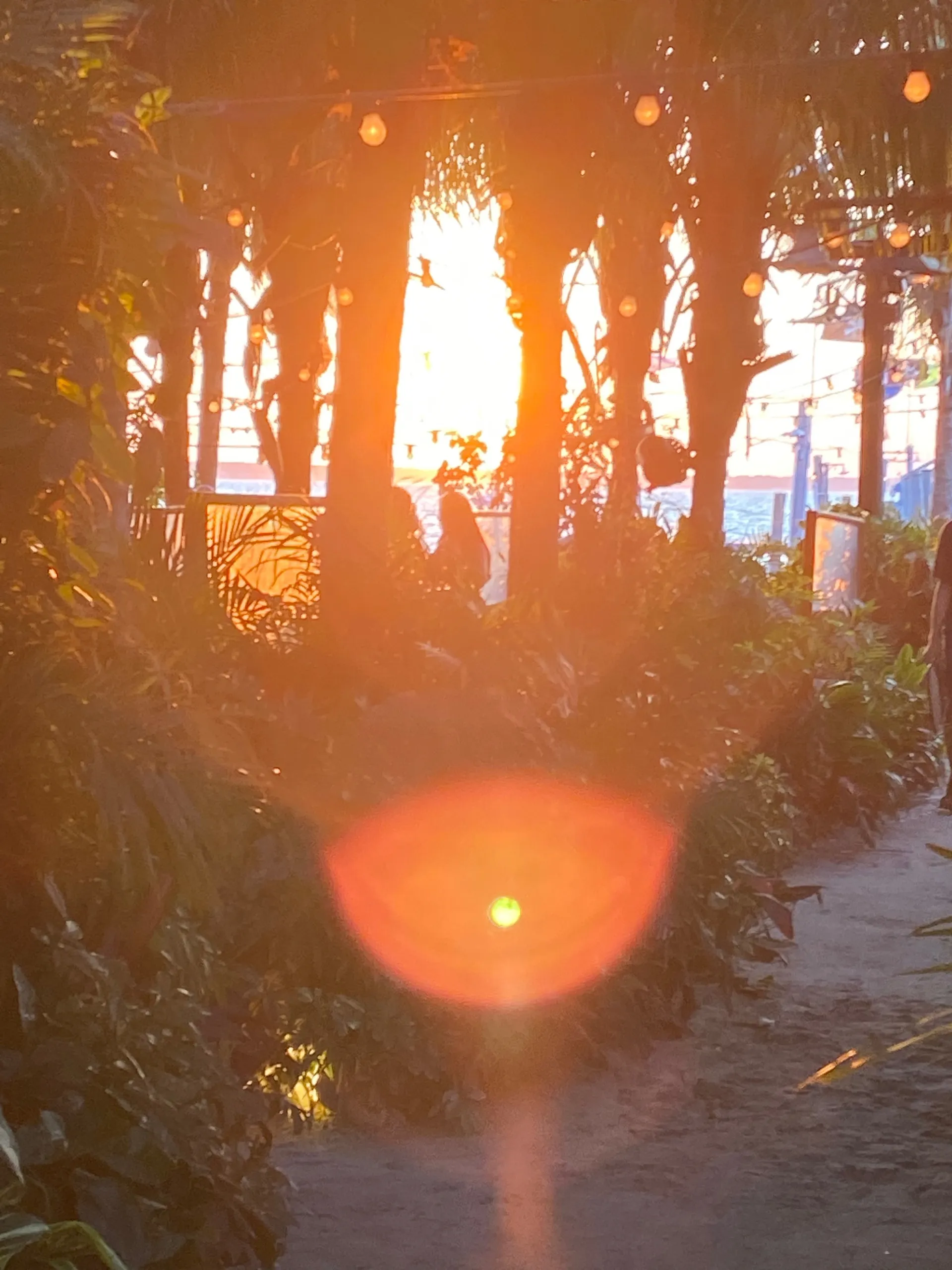 Blondegal77 OnlyFans header