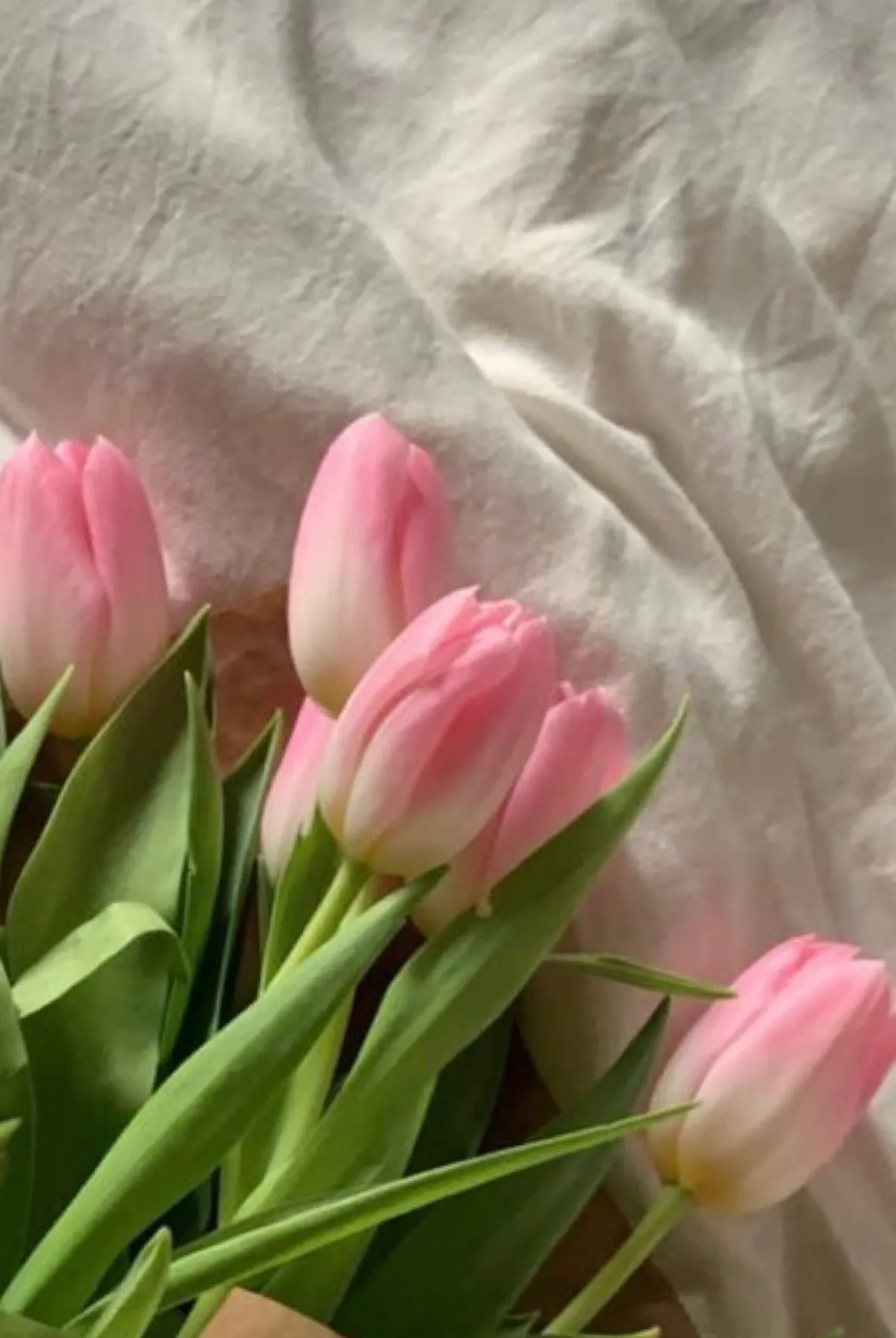 Hanna Blonde OnlyFans header