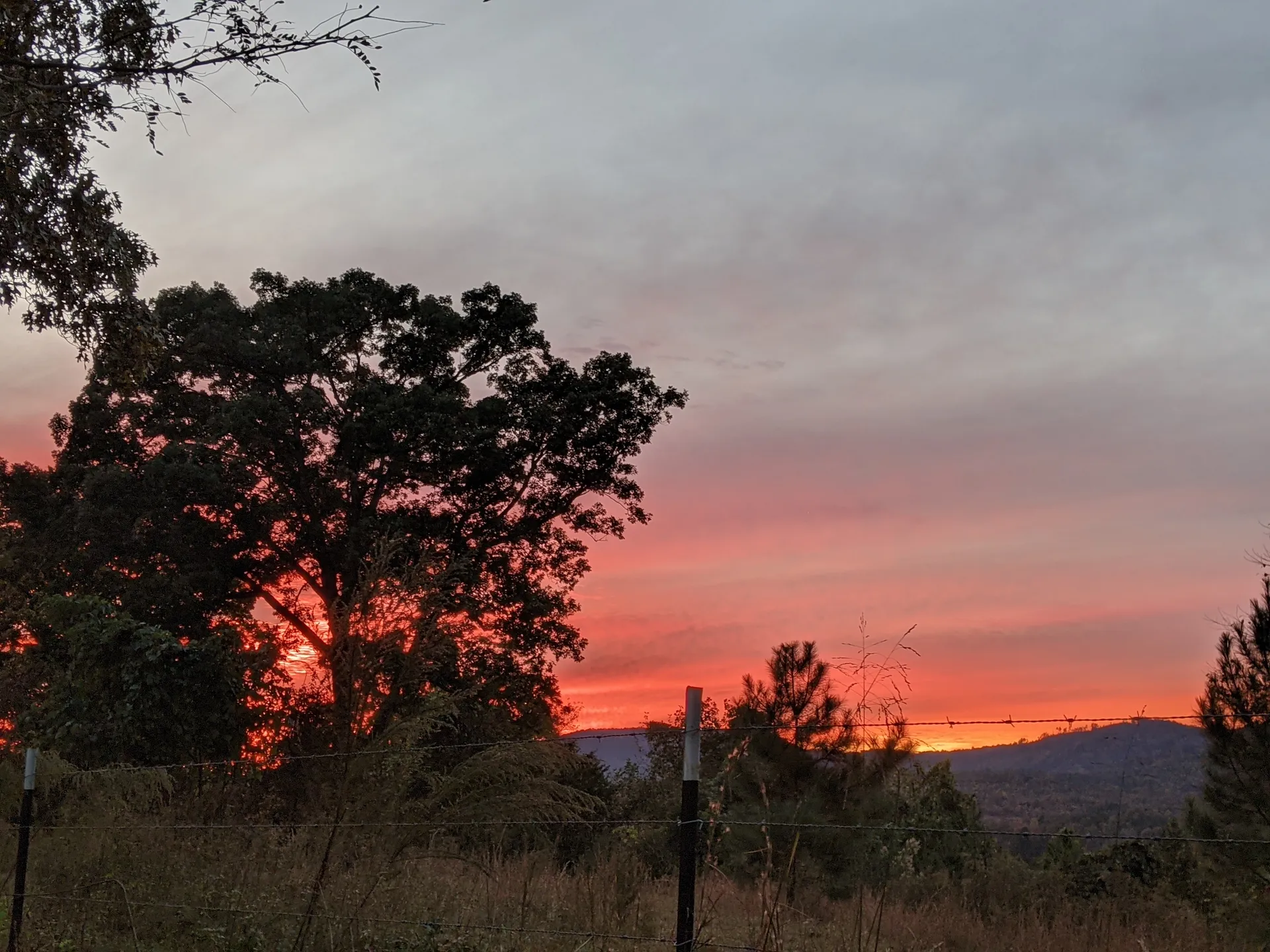 Blonde Hiker OnlyFans header