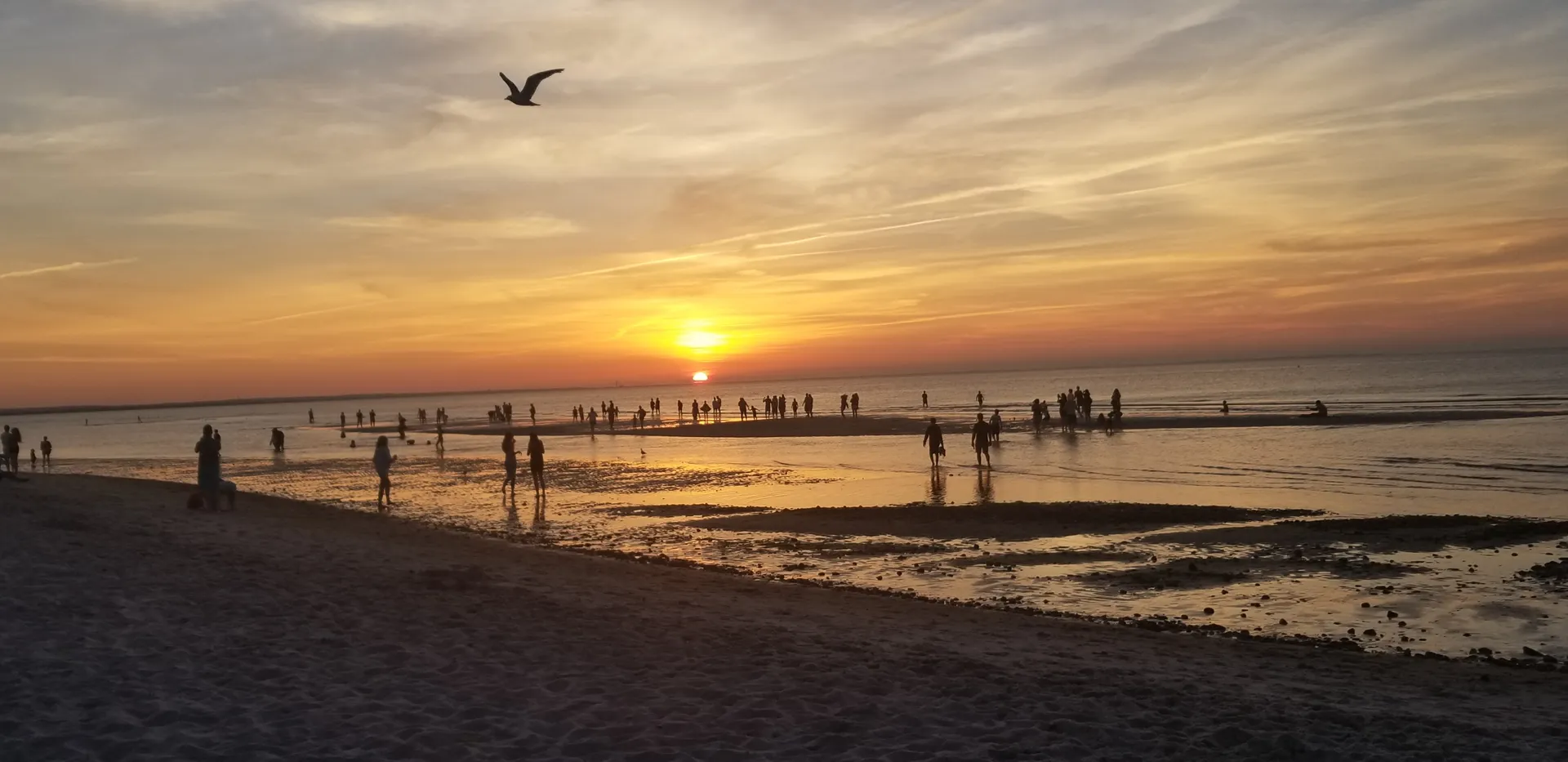 blondelovexx OnlyFans header