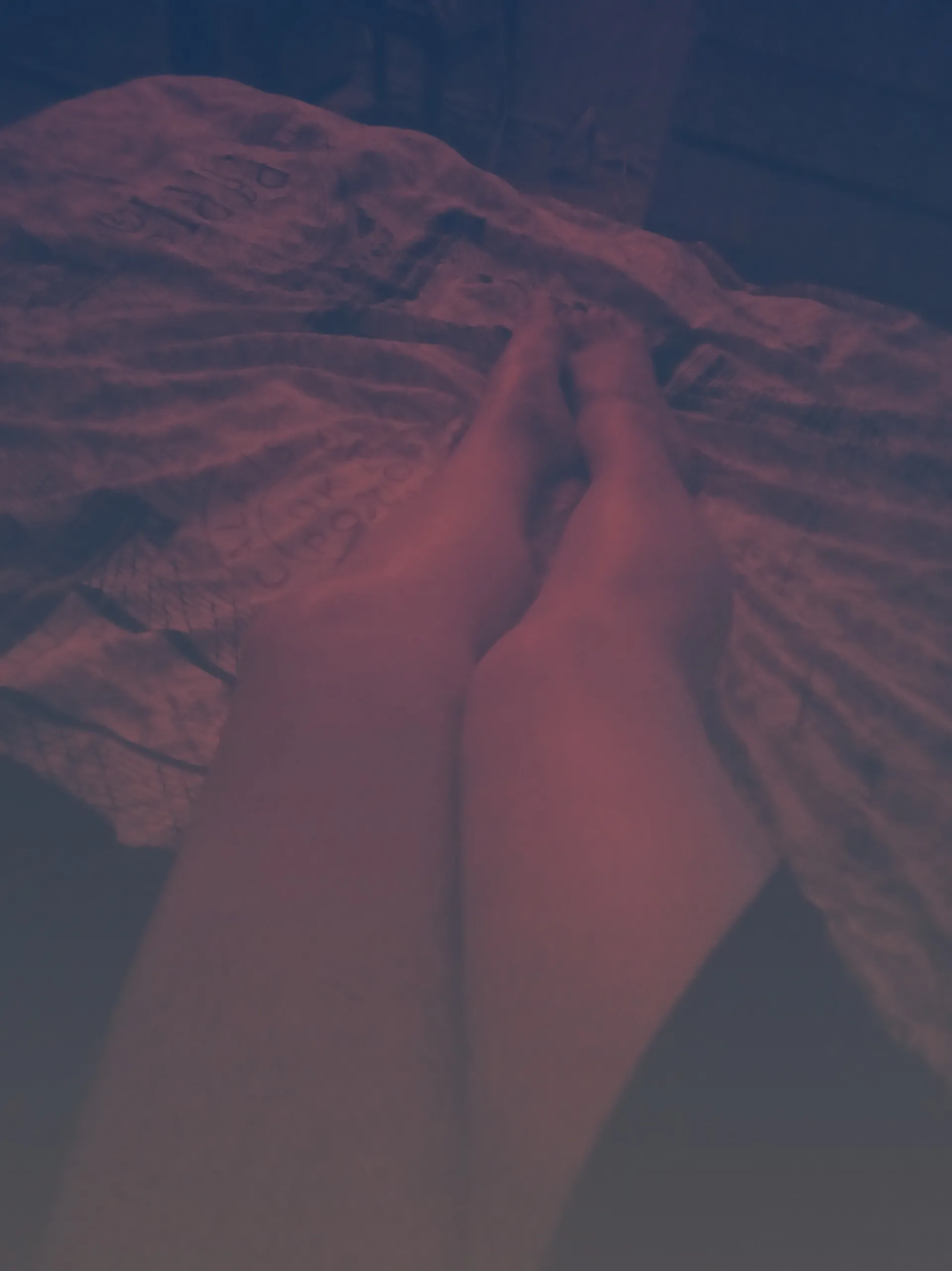 Blondie OnlyFans header