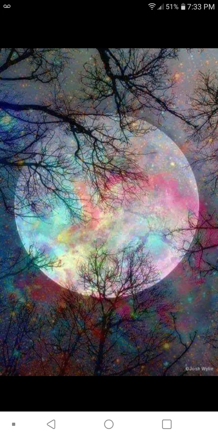 Shewillwinalways OnlyFans header