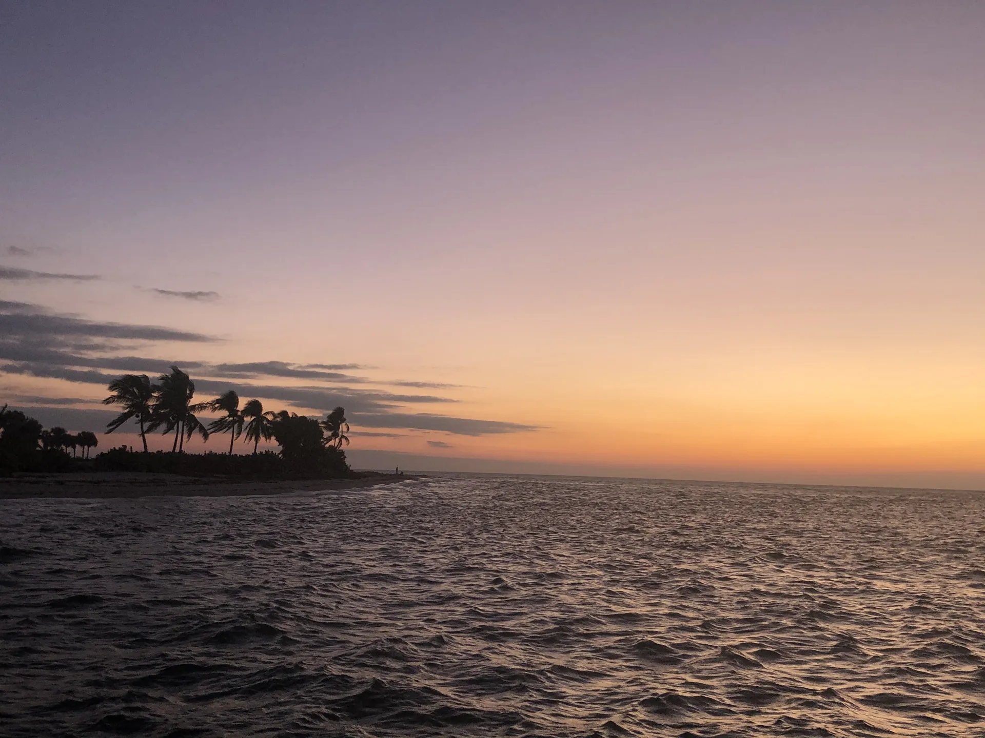 blondes for satan OnlyFans header