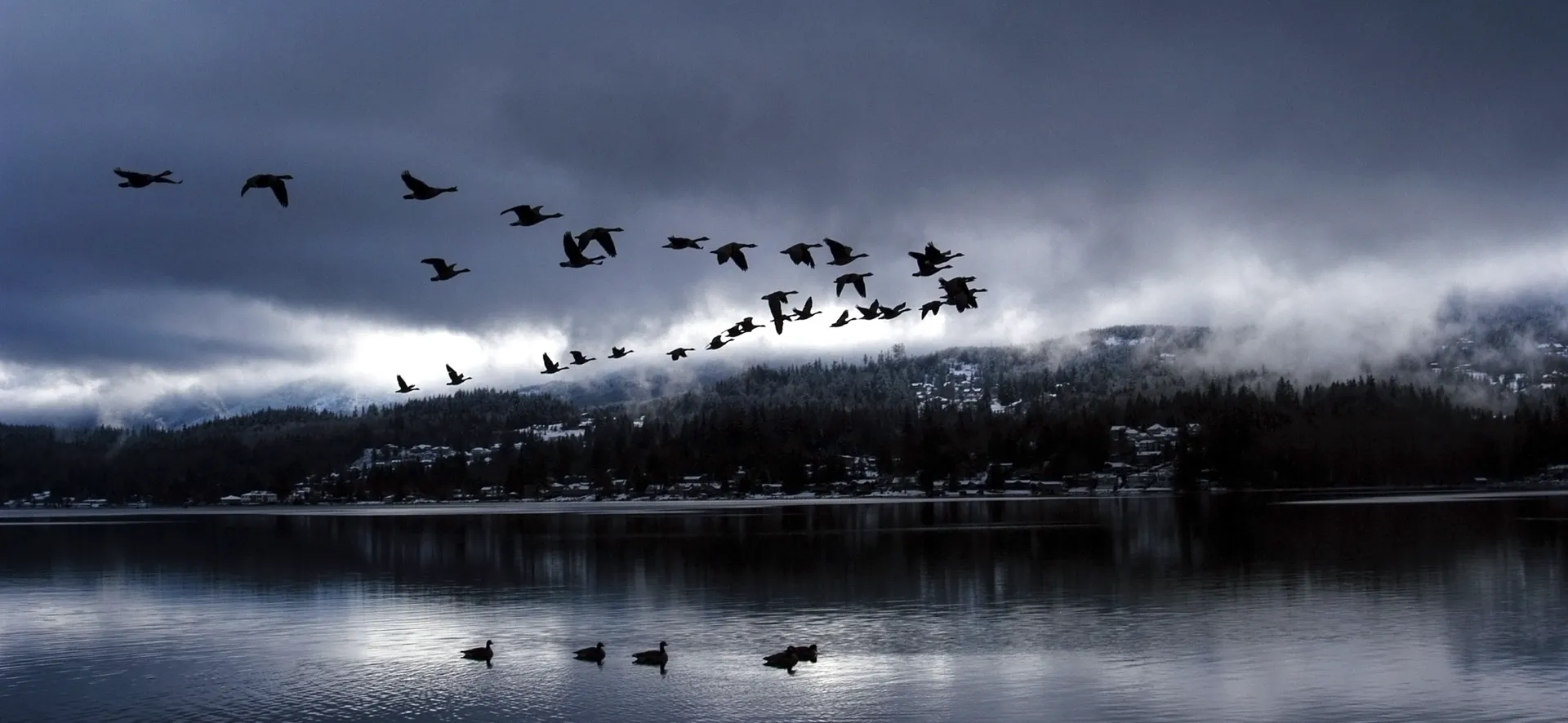 Blondezilla OnlyFans header