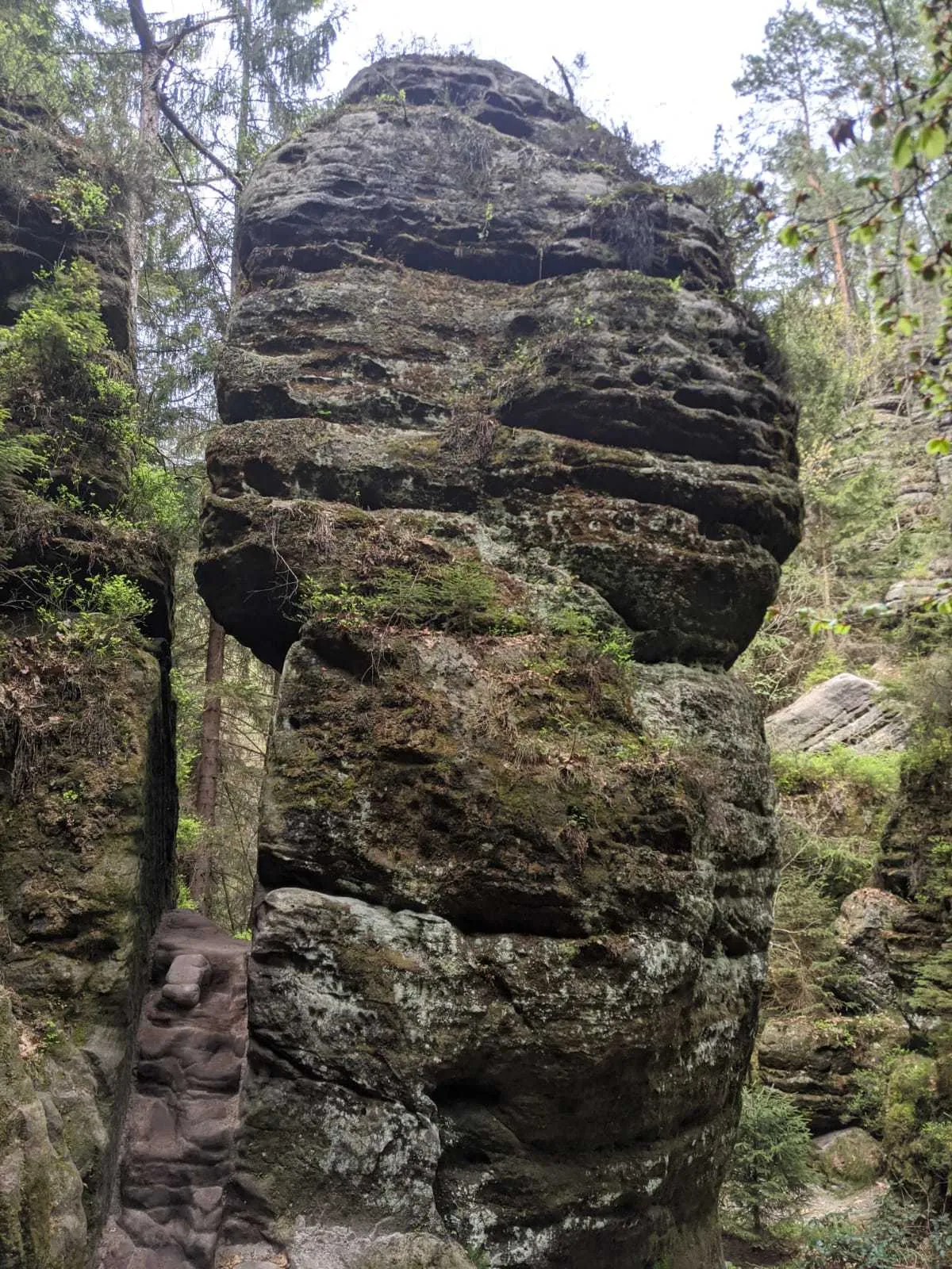 Blondie1 OnlyFans header