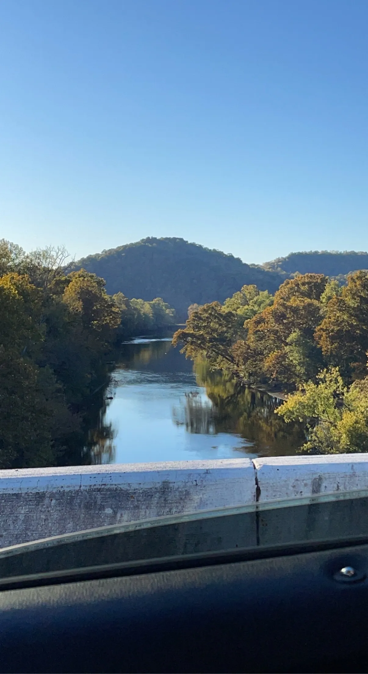 Blondie OnlyFans header