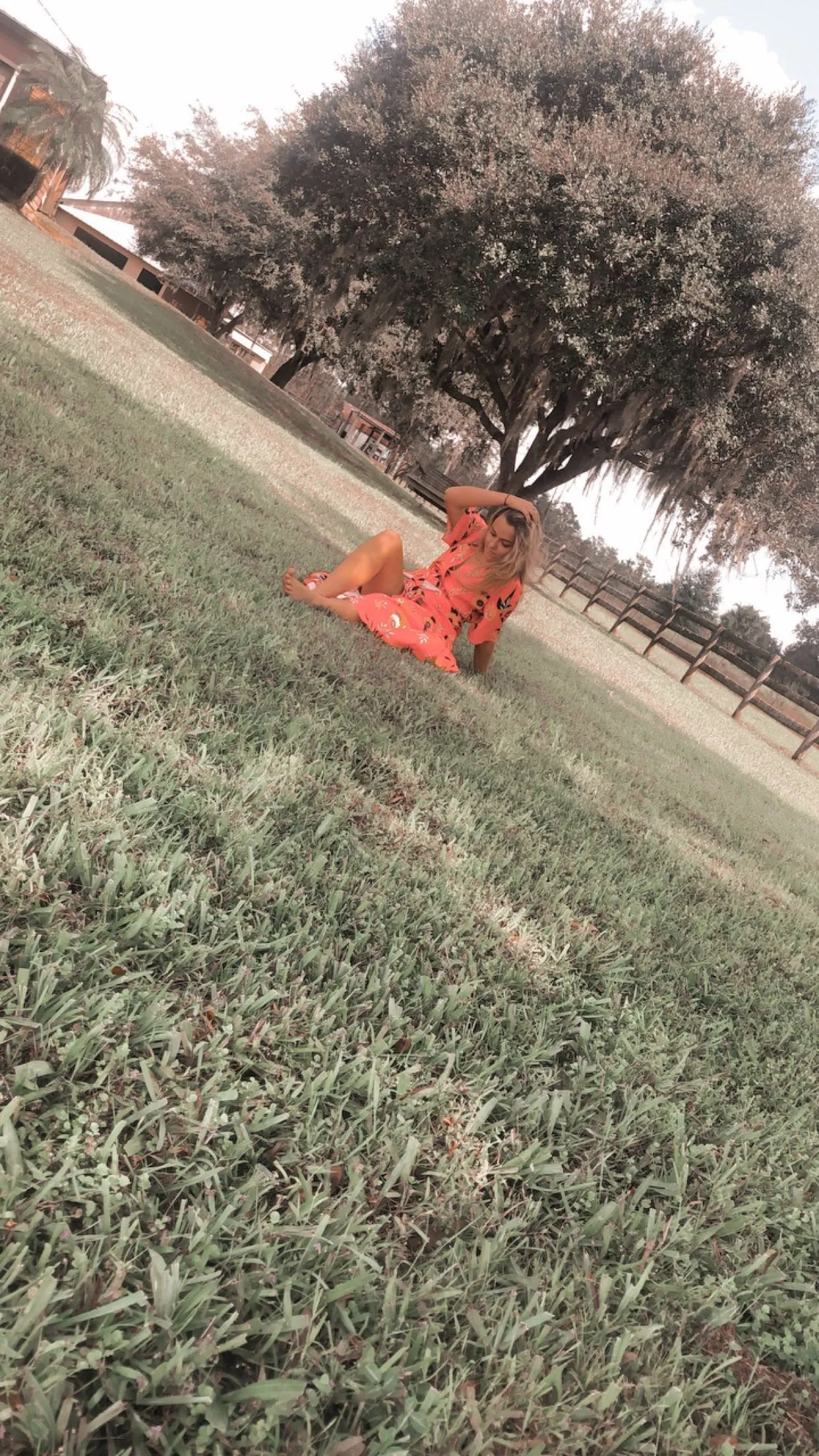 haley OnlyFans header