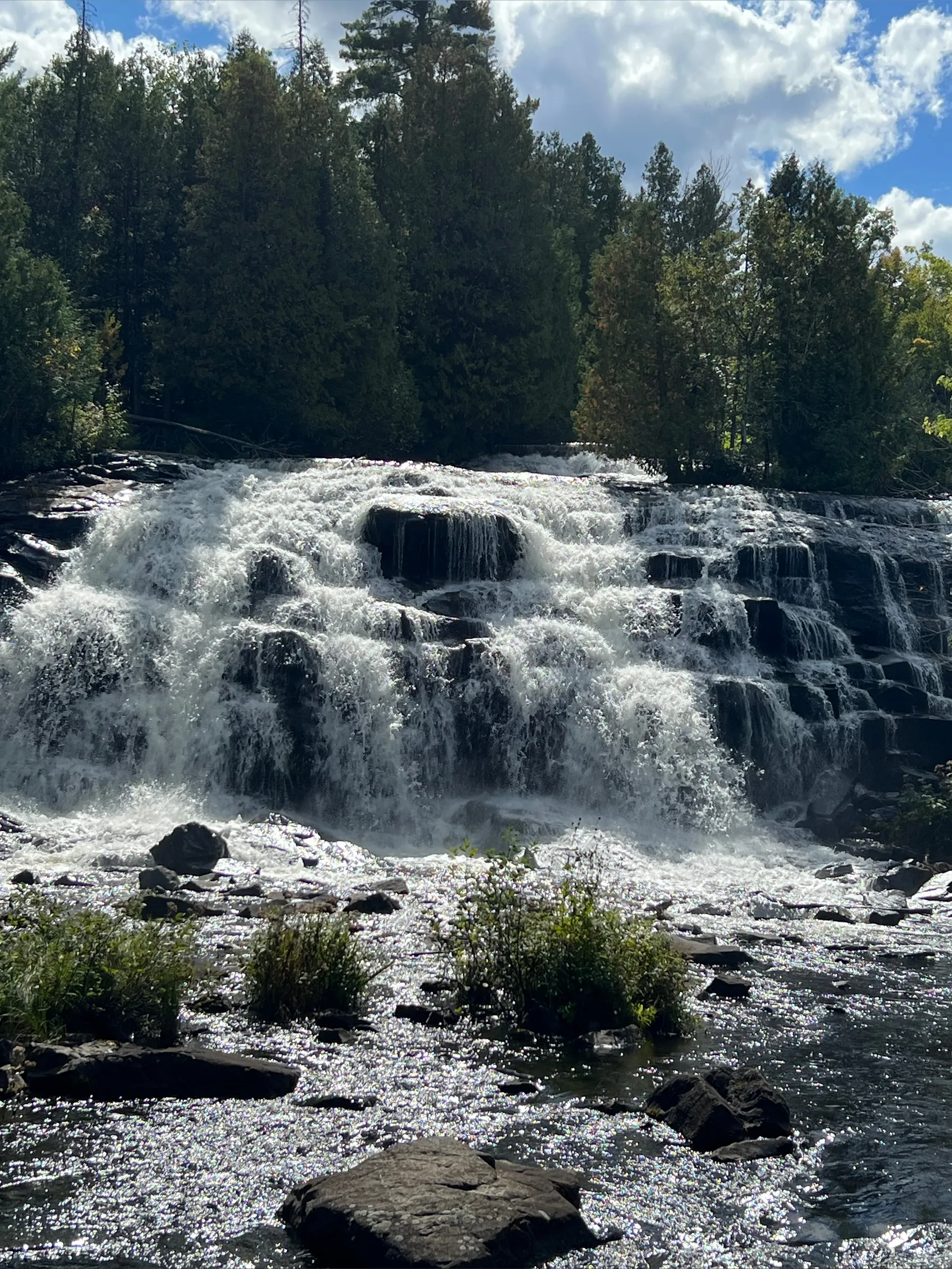 Blondie691 VIP OnlyFans header