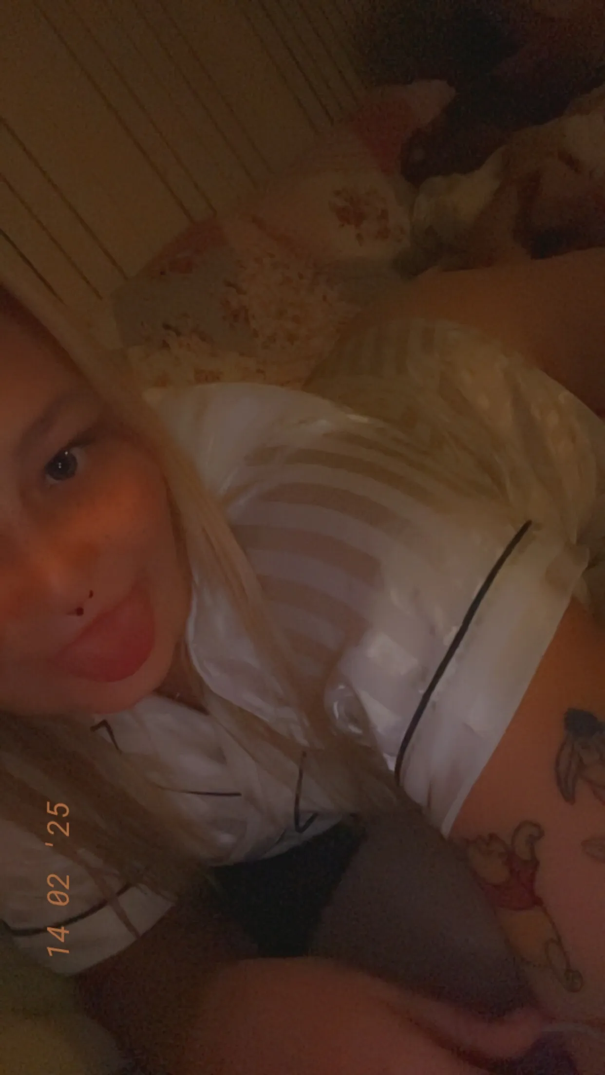 Blondie OnlyFans header