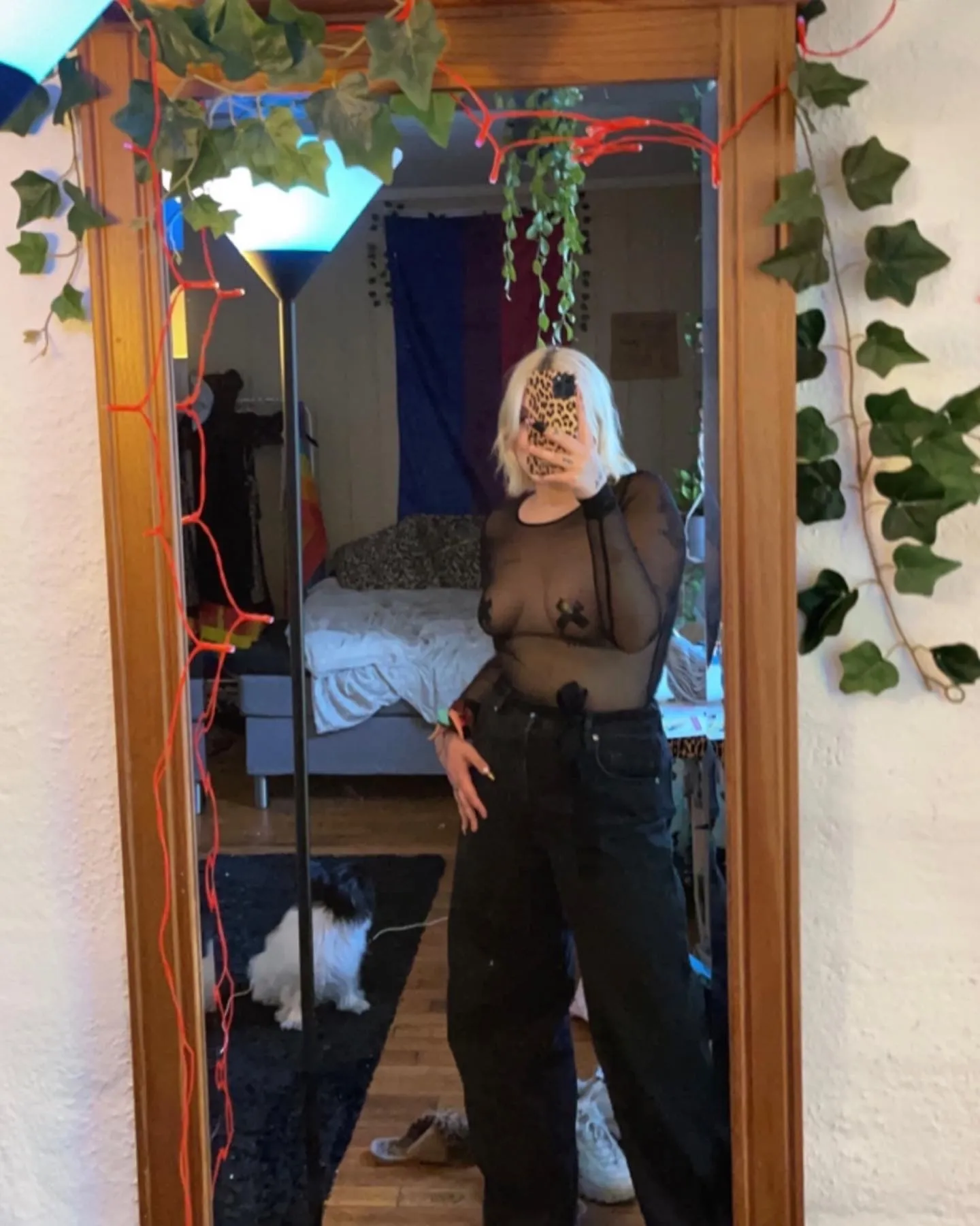 Blondie Bunny OnlyFans header