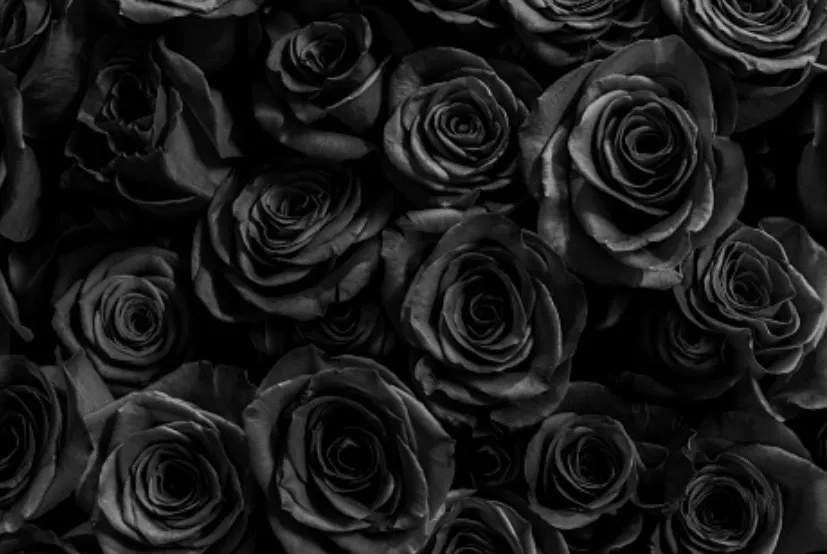 blondie_xoxo OnlyFans header