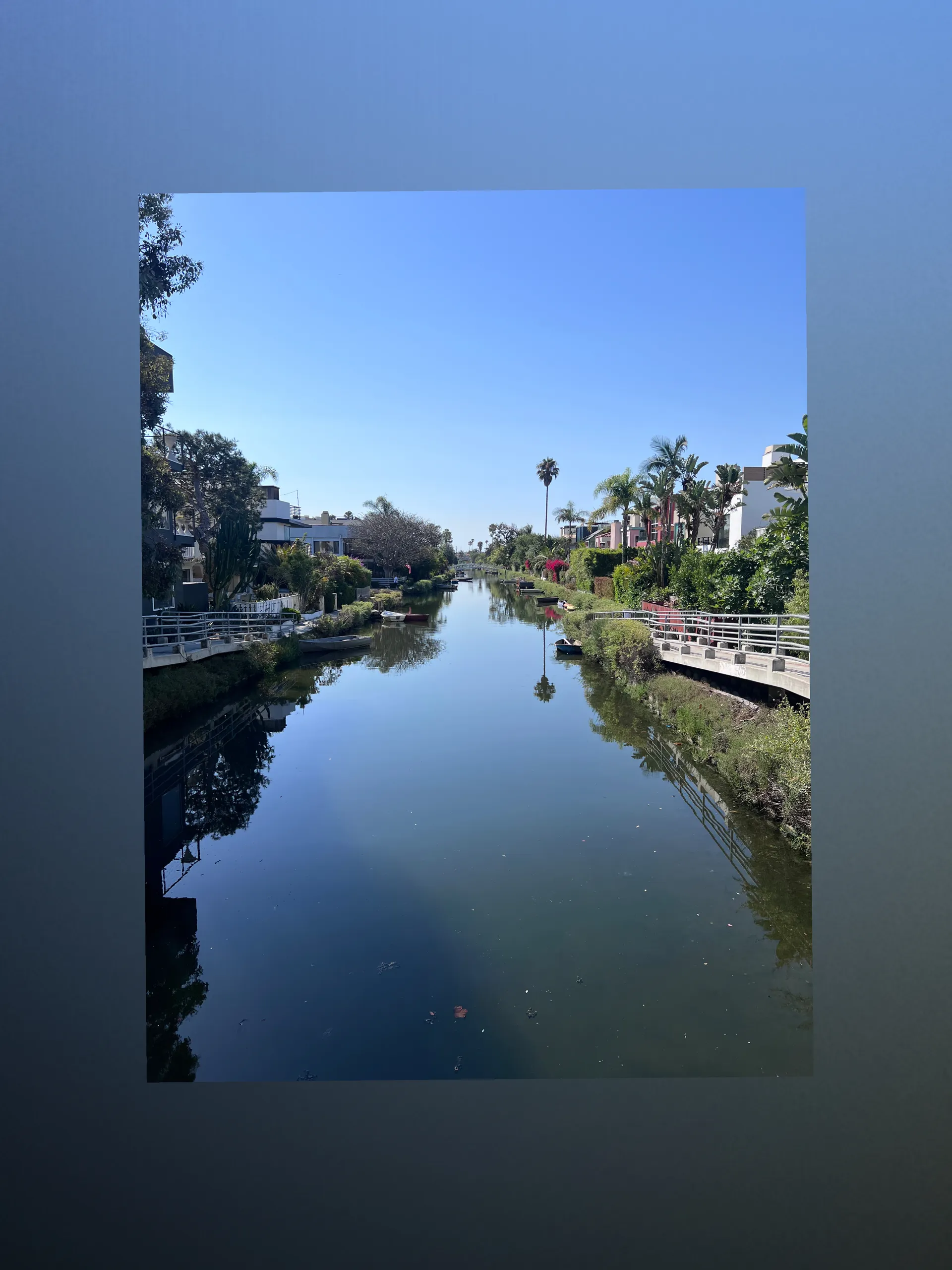 BlondieAndTheBeast OnlyFans header