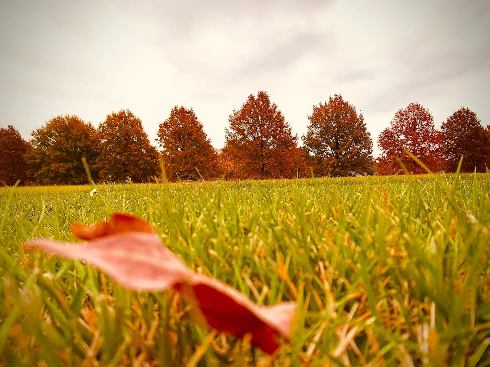 Blondiebabes OnlyFans header