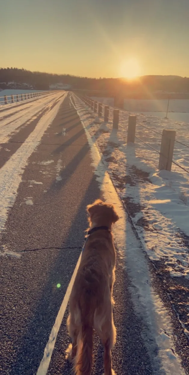 blondiebaddie OnlyFans header