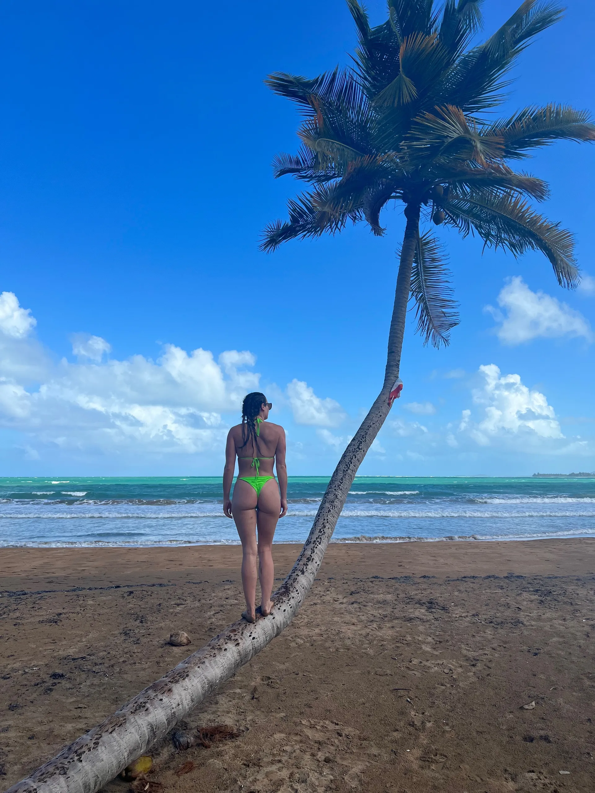 Alexis OnlyFans header