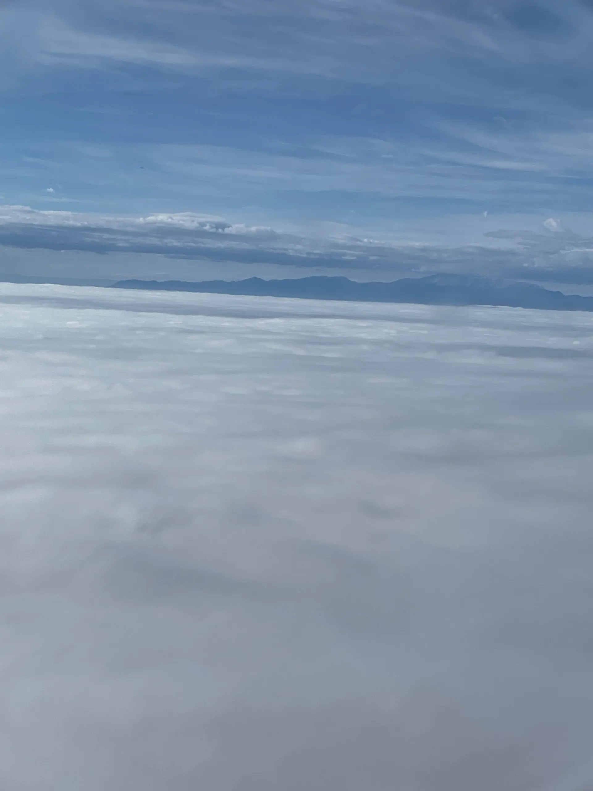 Blondie OnlyFans header