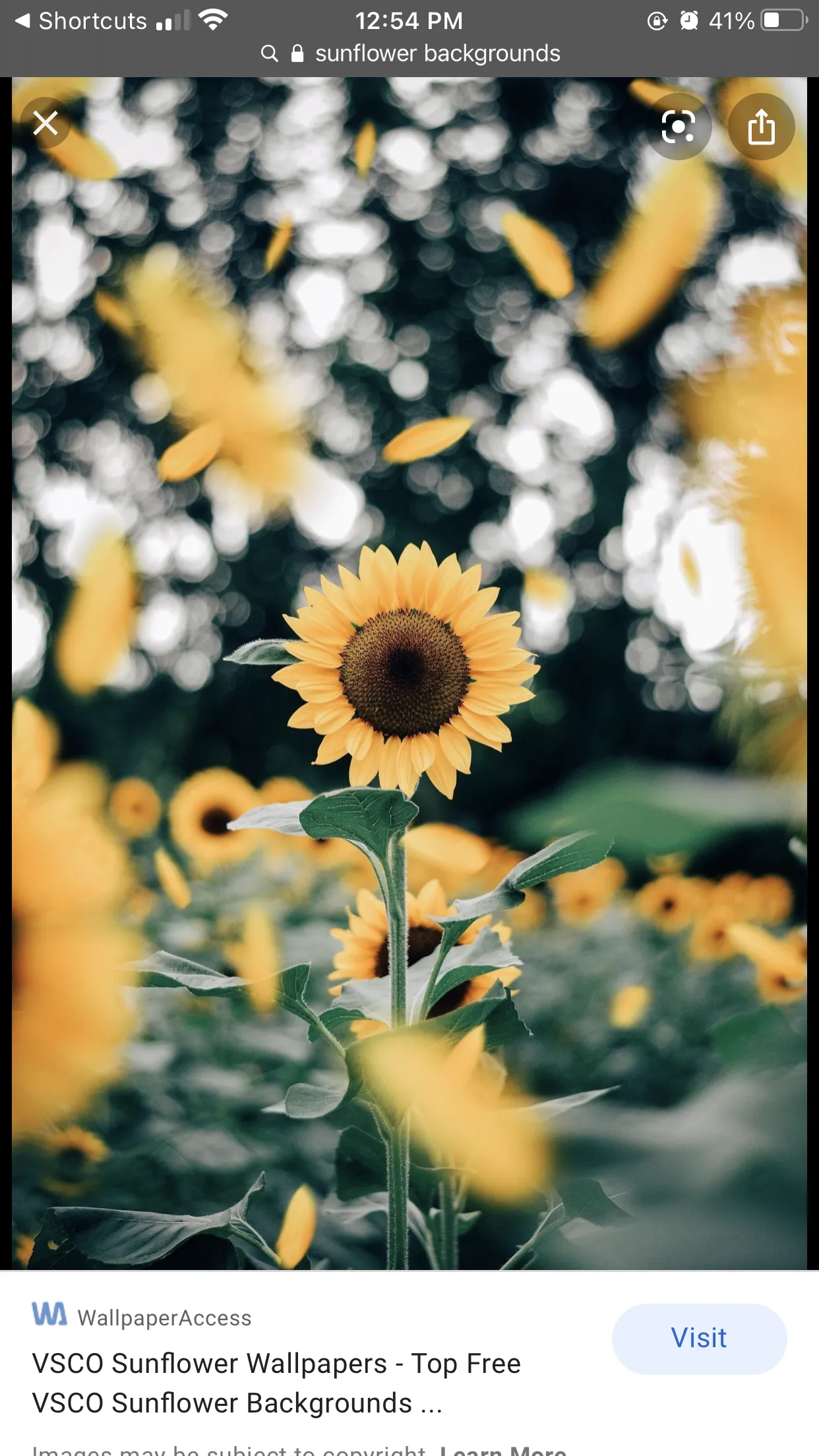 Sugarblondie! OnlyFans header