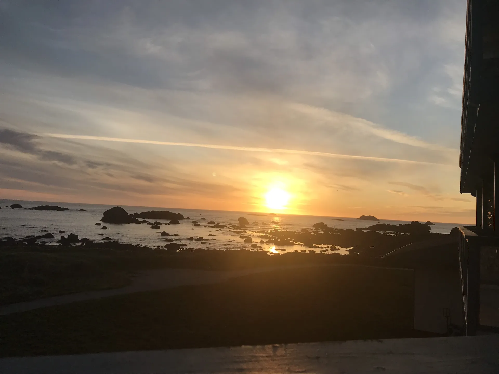 Trinity OnlyFans header