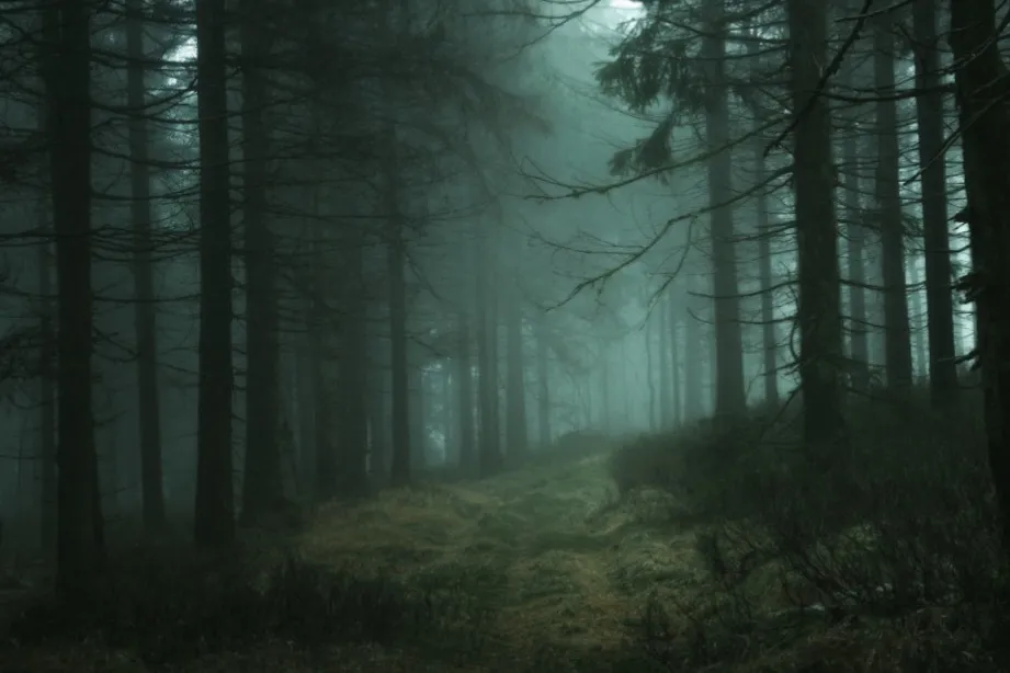 Elizabeth 🗡 OnlyFans header