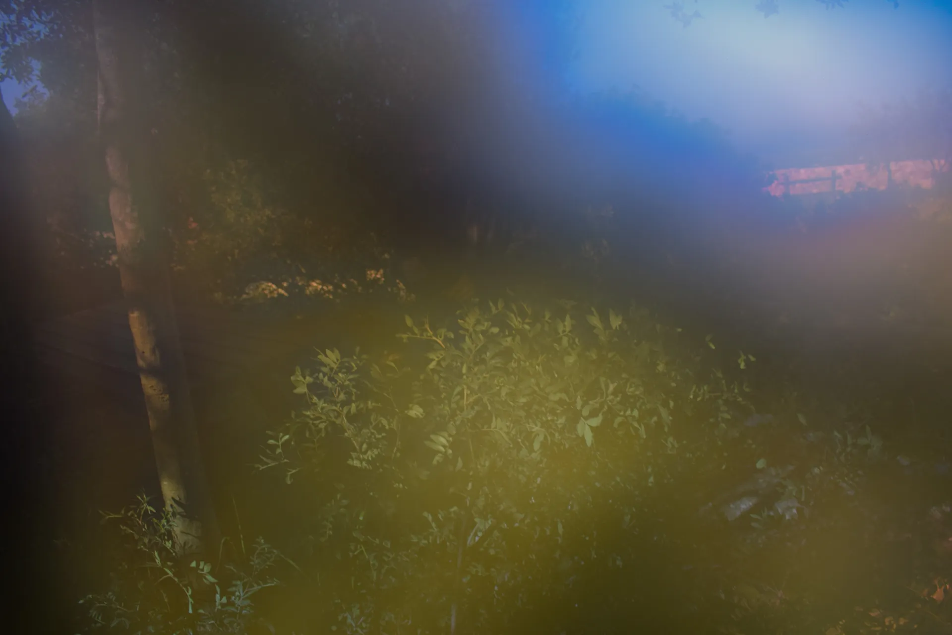 PUNK_SEXY_BOY OnlyFans header