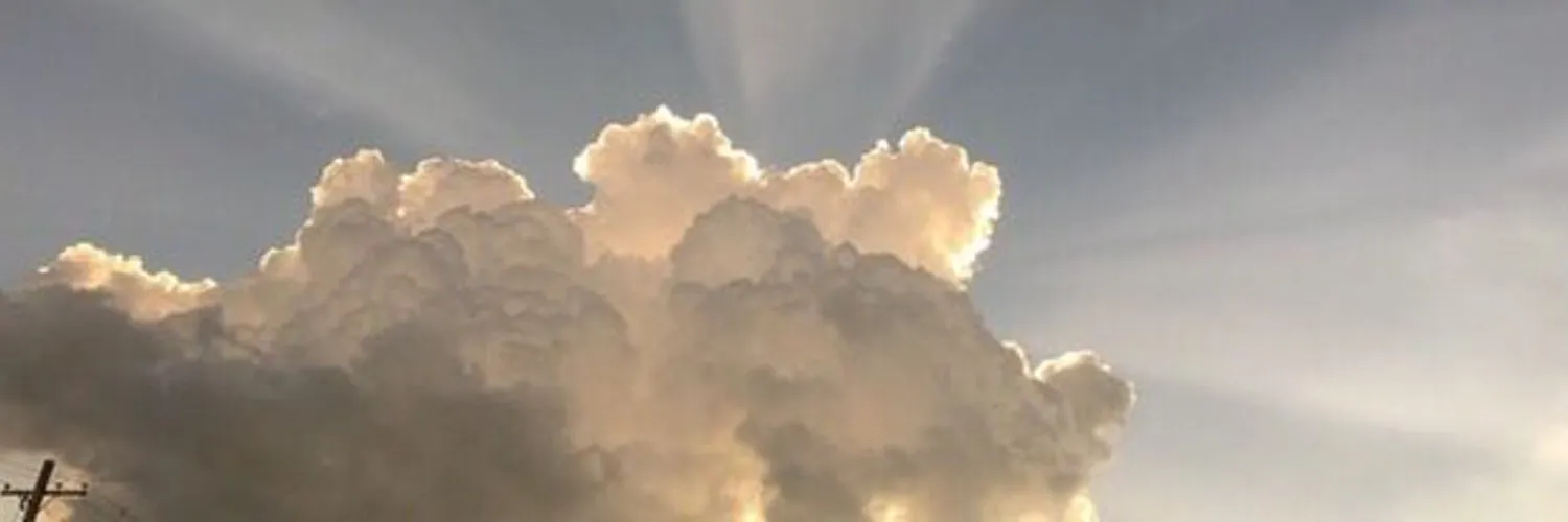 bunny OnlyFans header