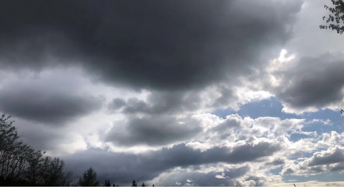 Rose OnlyFans header