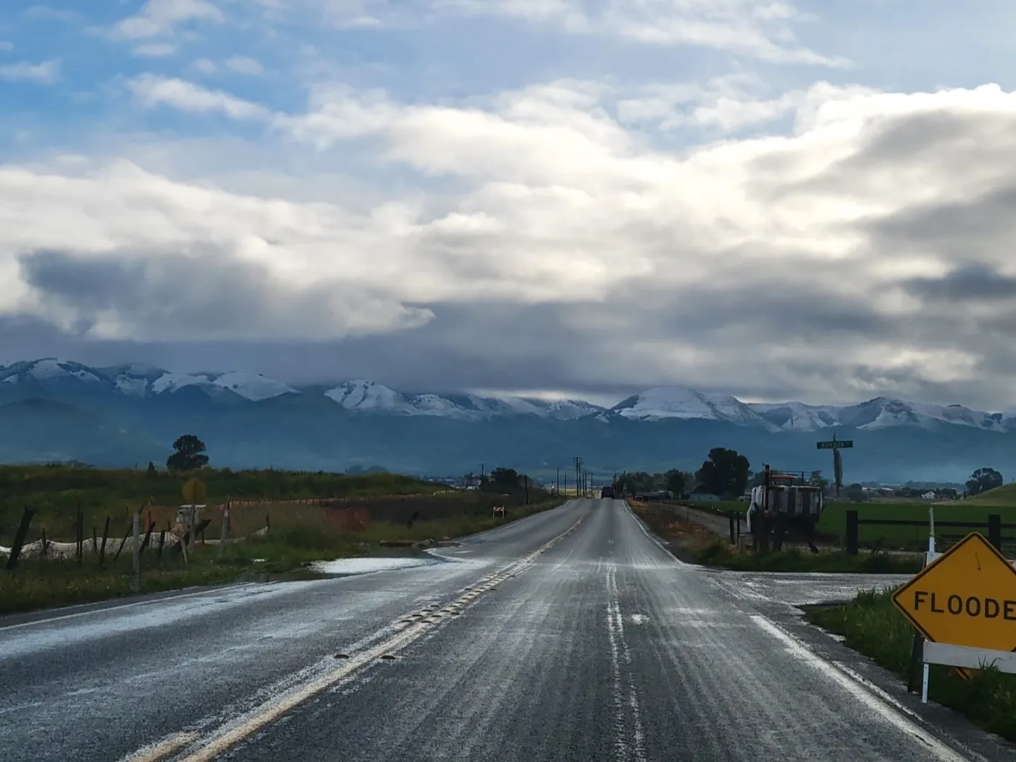 Rose Bloom OnlyFans header