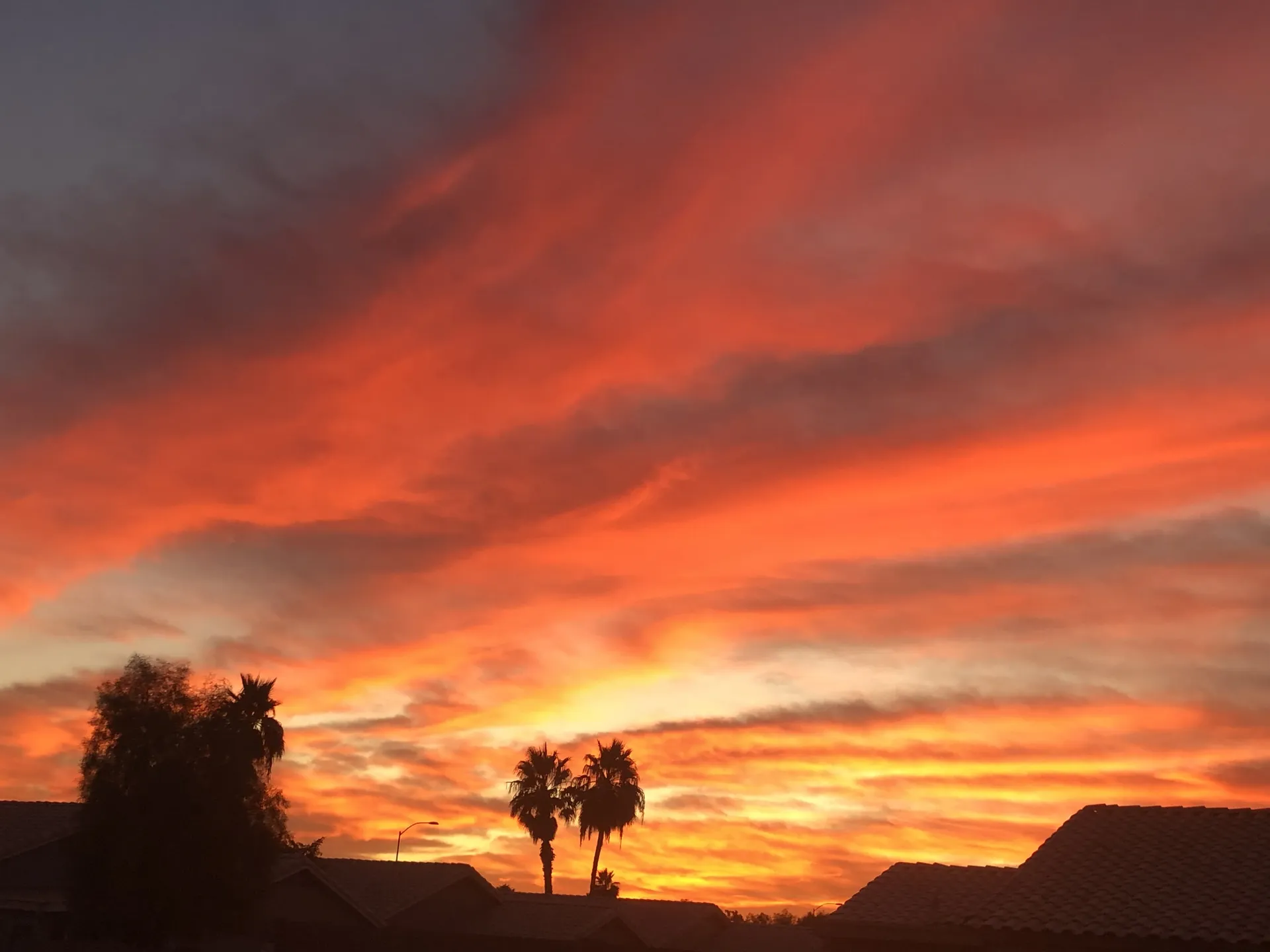 Alice Thorne OnlyFans header