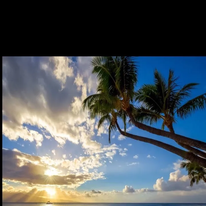 Sammy OnlyFans header