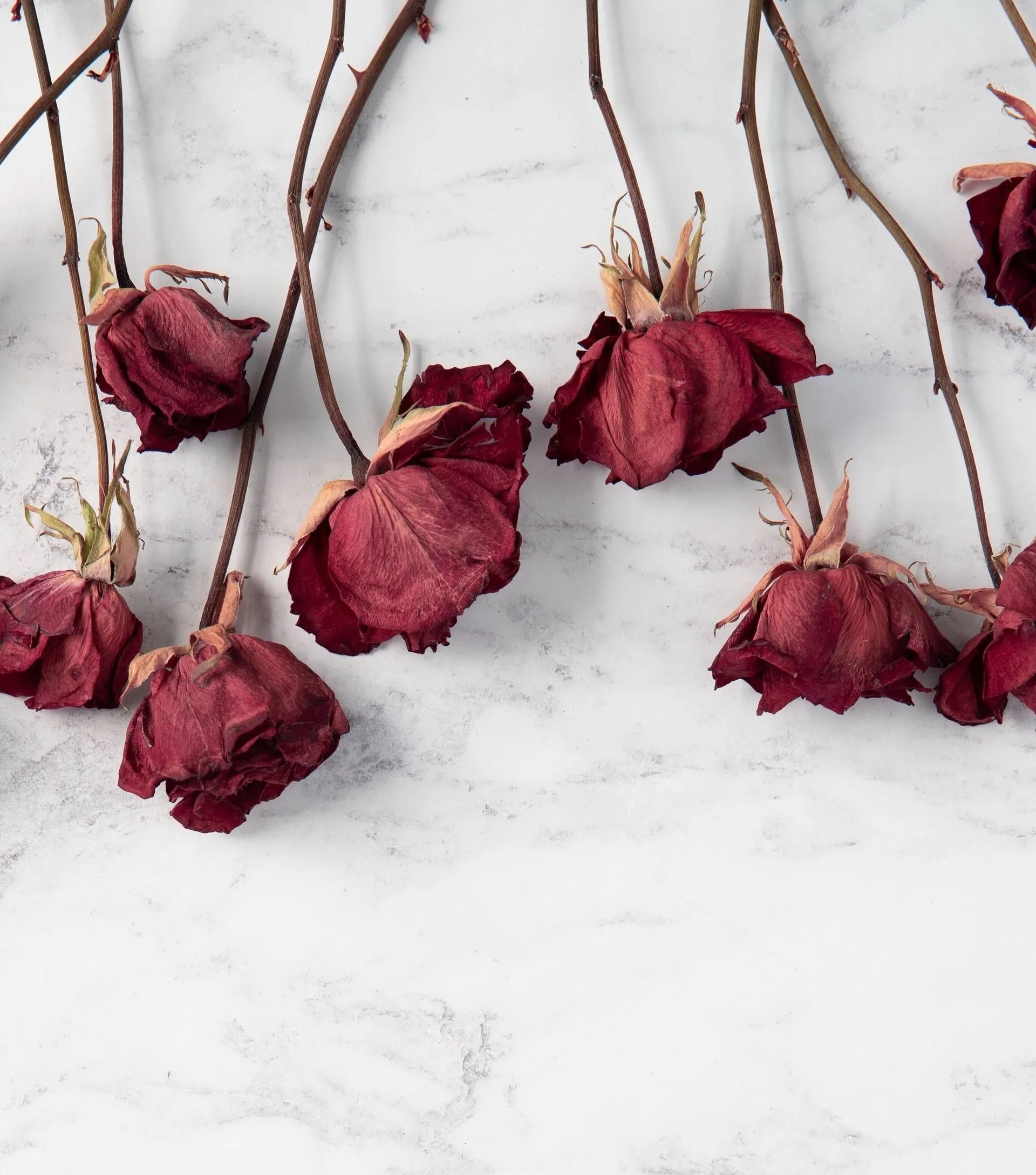 Pamela OnlyFans header