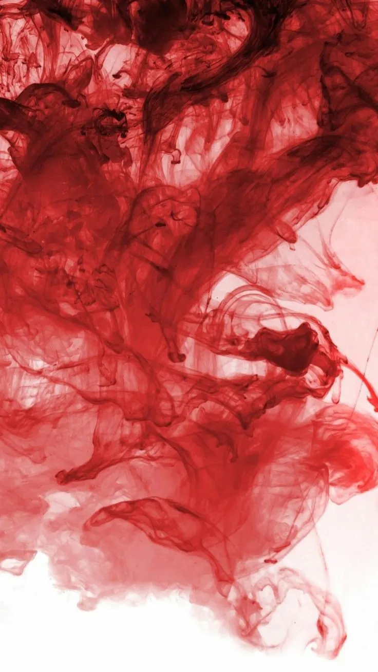 Flo🌹 OnlyFans header