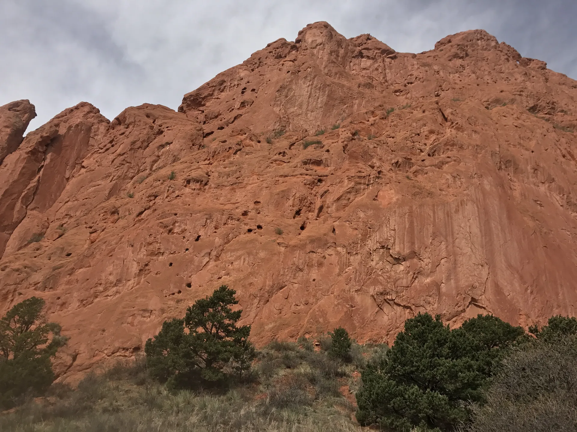 Leroy Jenkins OnlyFans header