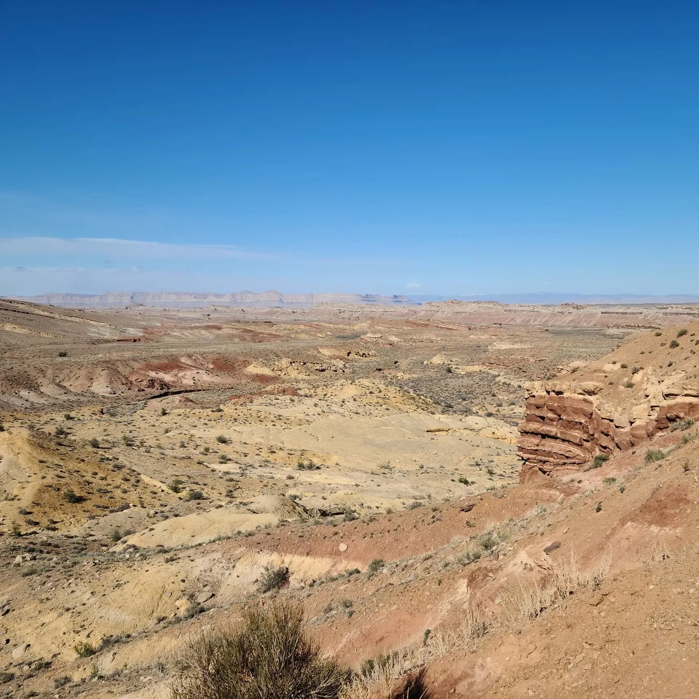 BLQ___ OnlyFans header