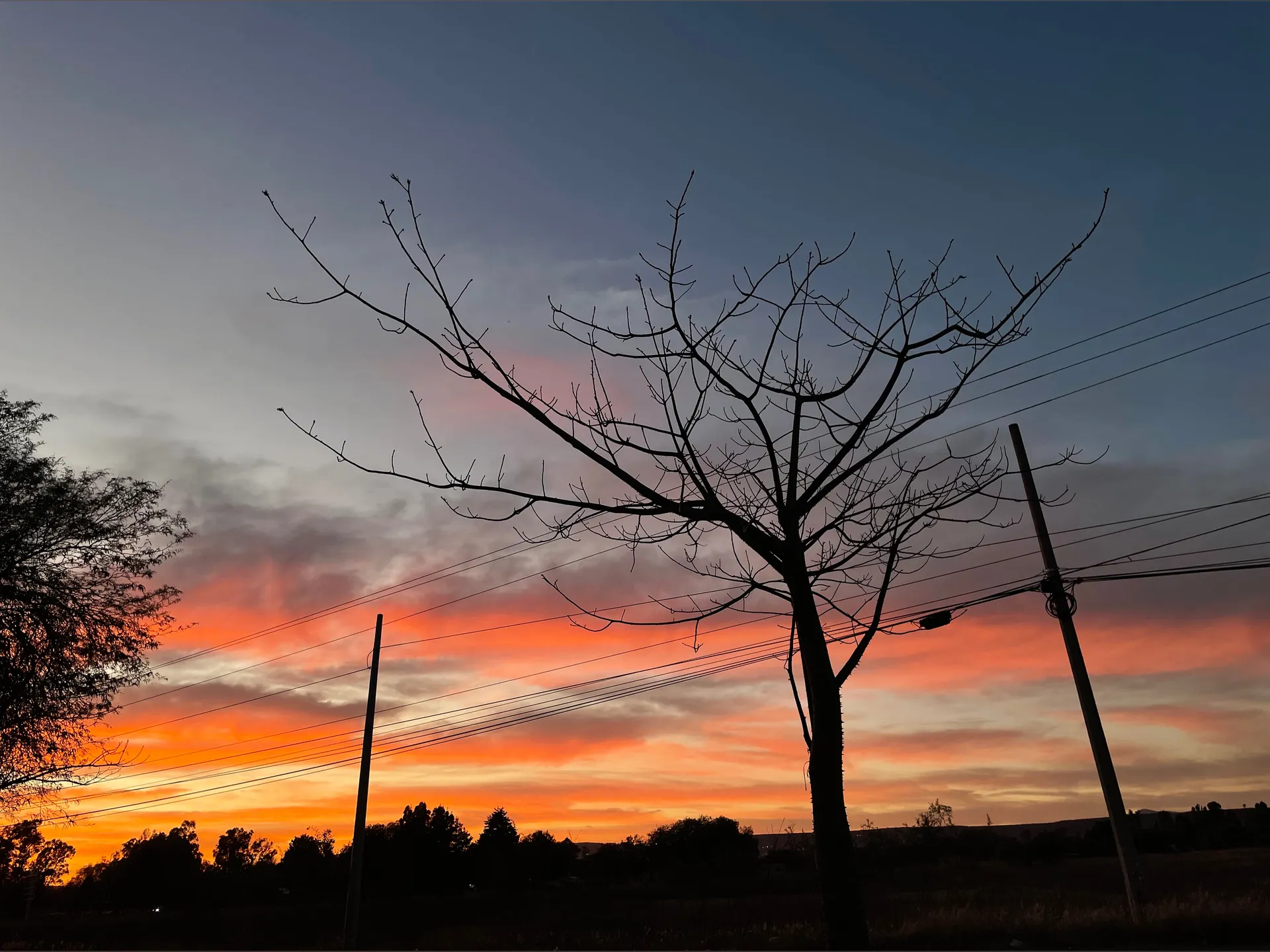 Blu Berry OnlyFans header