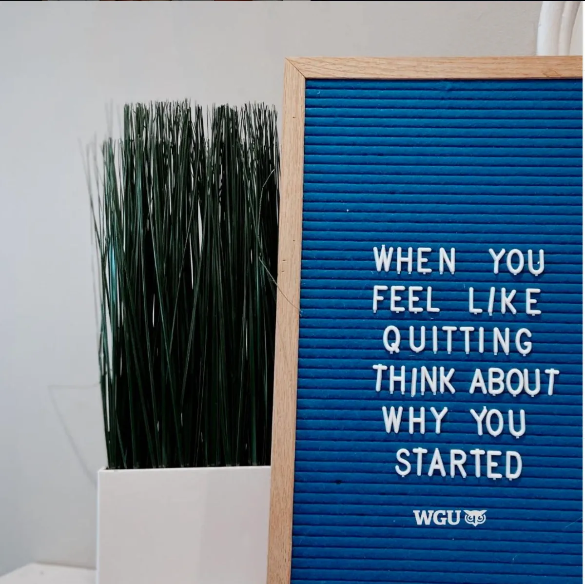 Blu.berry OnlyFans header