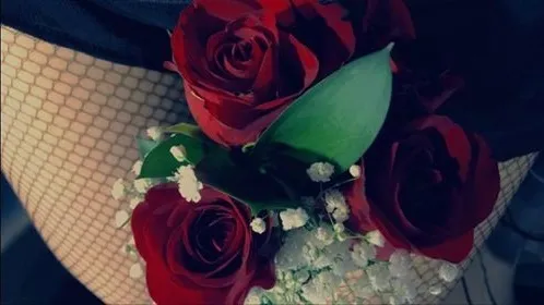 Blue Bunnie OnlyFans header