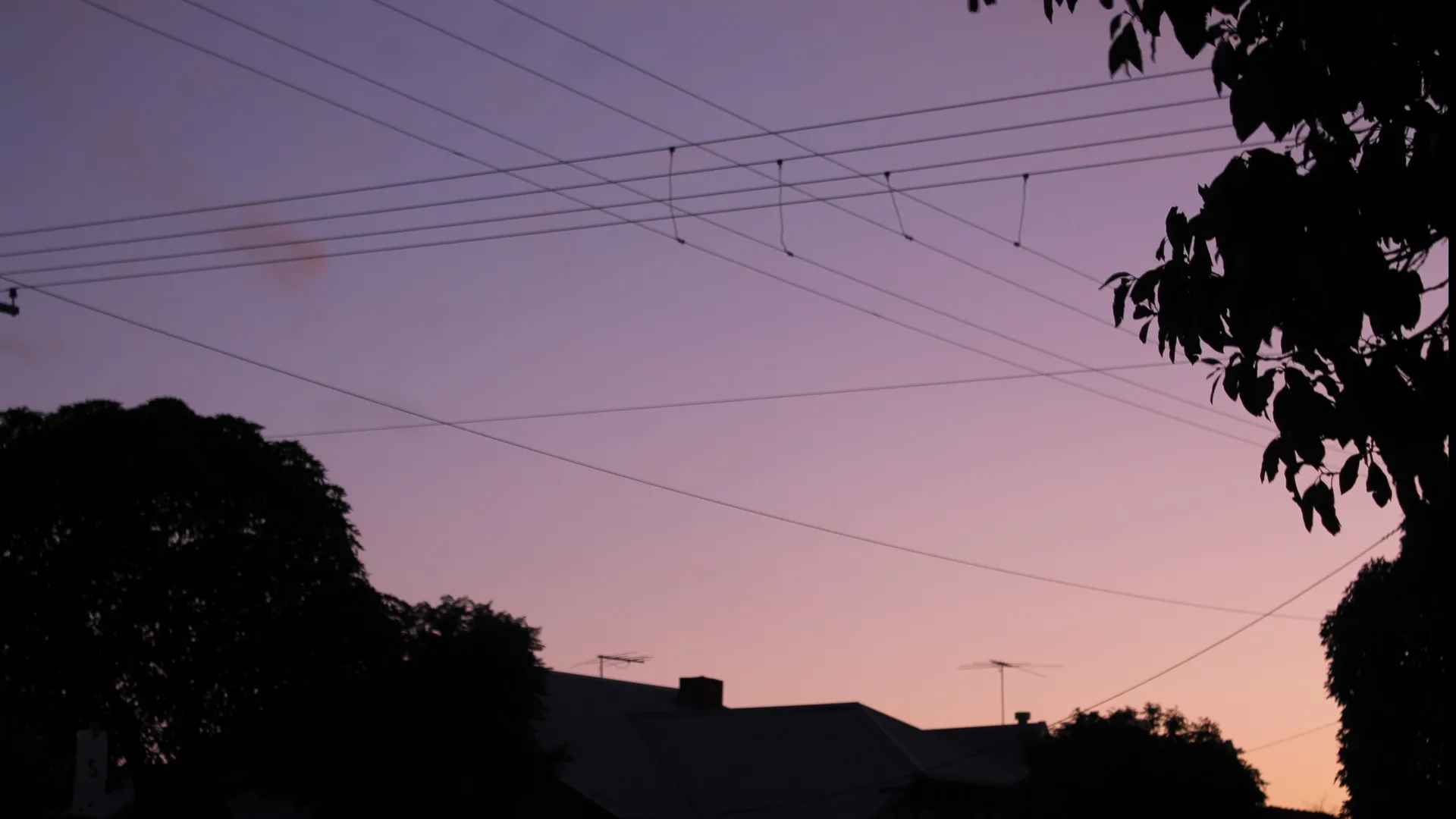 Bella OnlyFans header