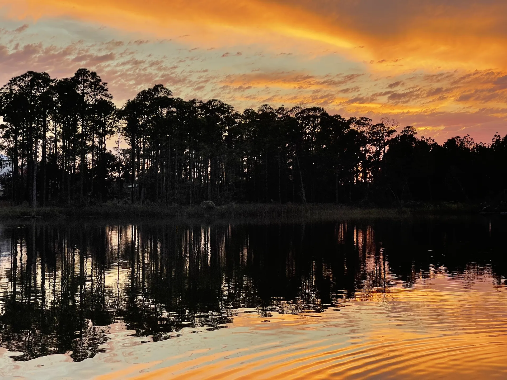 Blubie OnlyFans header