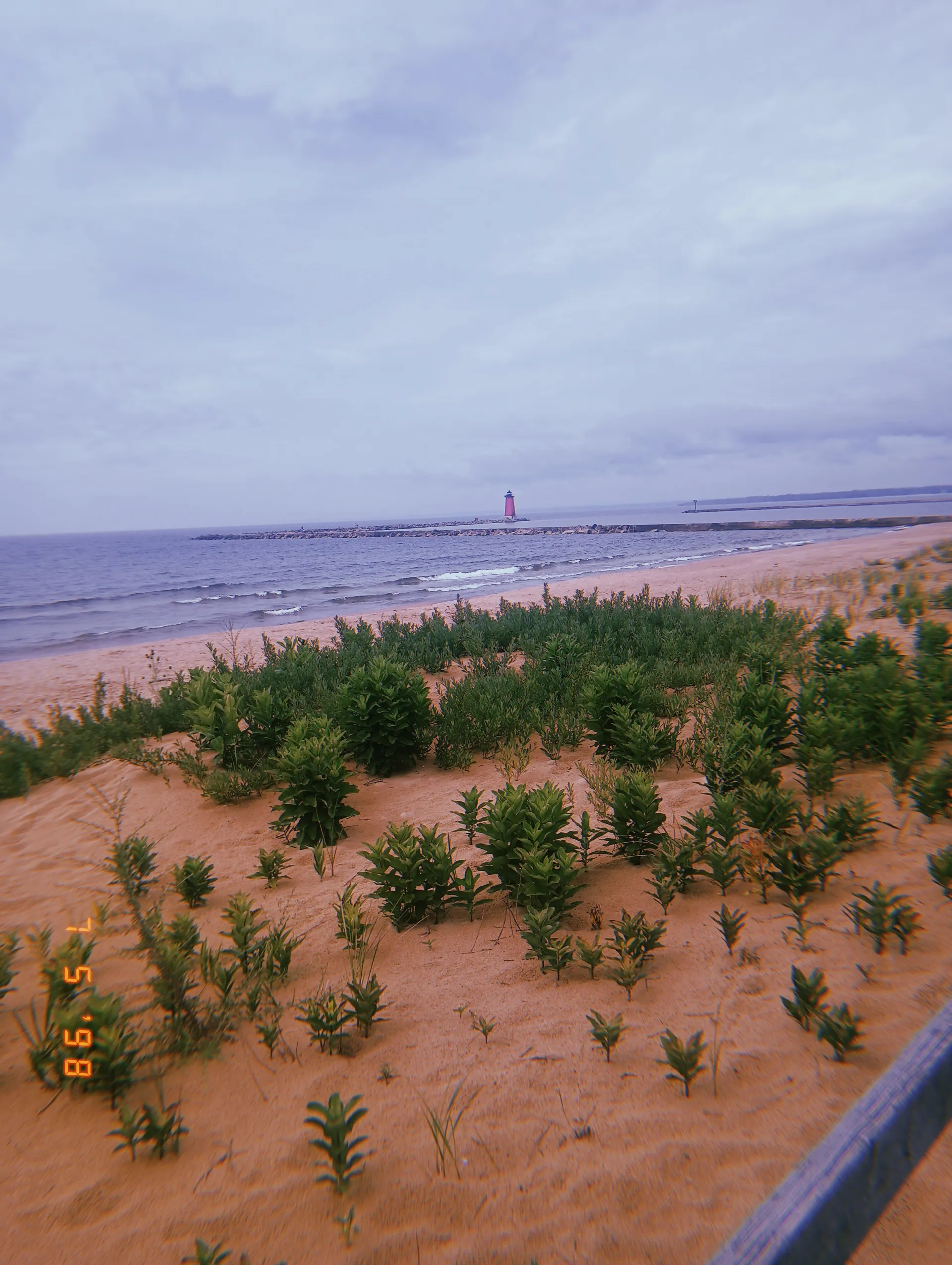 Curvy babe OnlyFans header