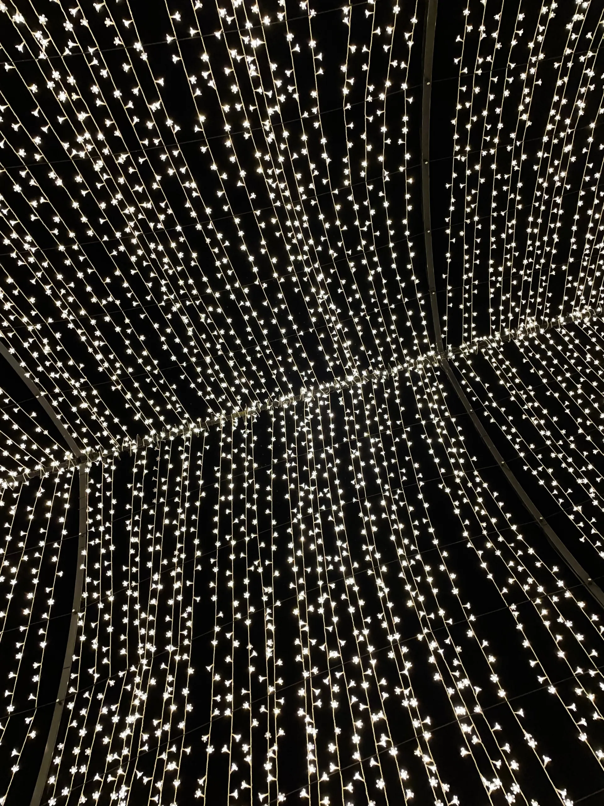 Maria OnlyFans header